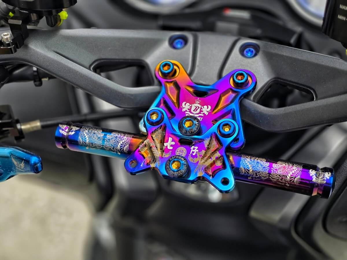 絕版FGR800 OHLINS倒叉